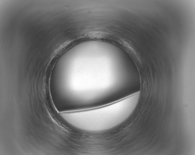 X0000080190492200612081204
