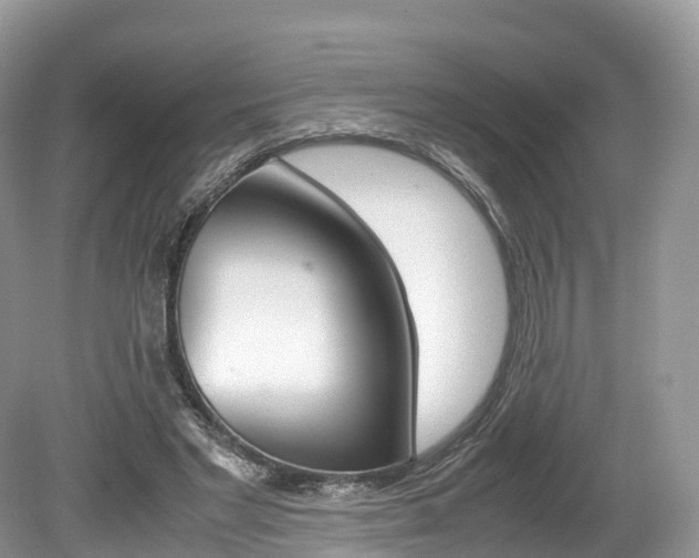 X0000080190493200612081204