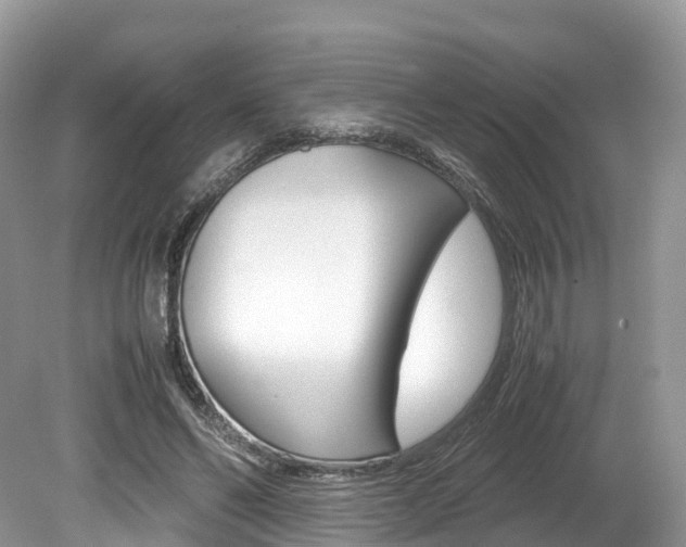 X0000080190494200612081204