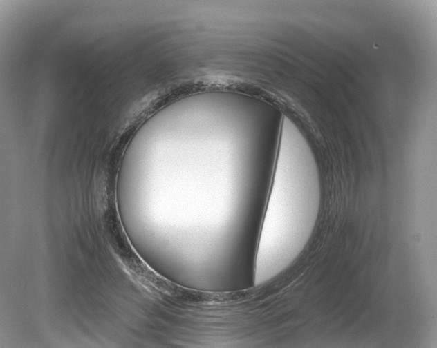 X0000080190496200612081204