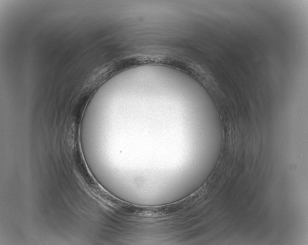 X0000080190498200612081204