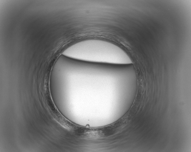 X0000080190499200612081204