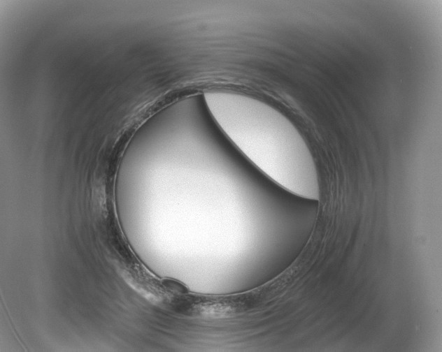 X0000080190500200612081204