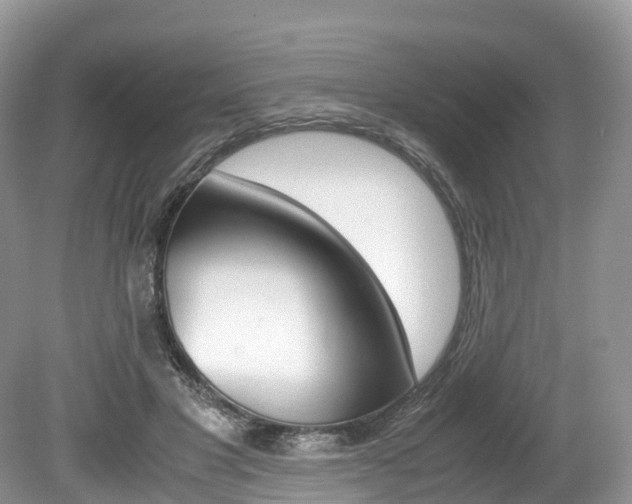 X0000080190501200612081203