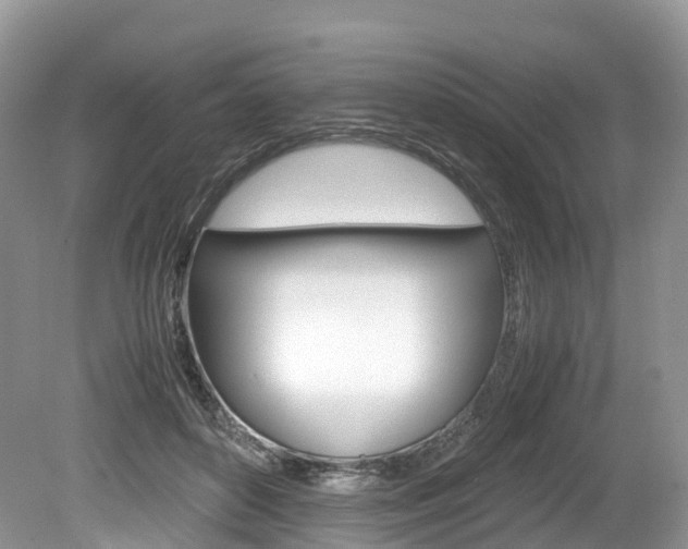 X0000080190504200612081203