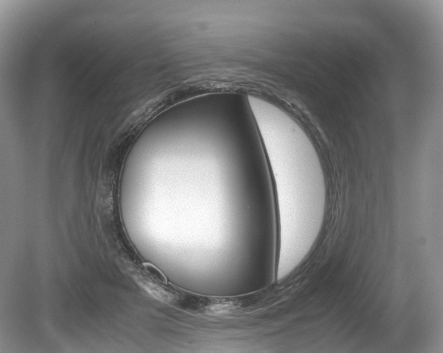 X0000080190505200612081203