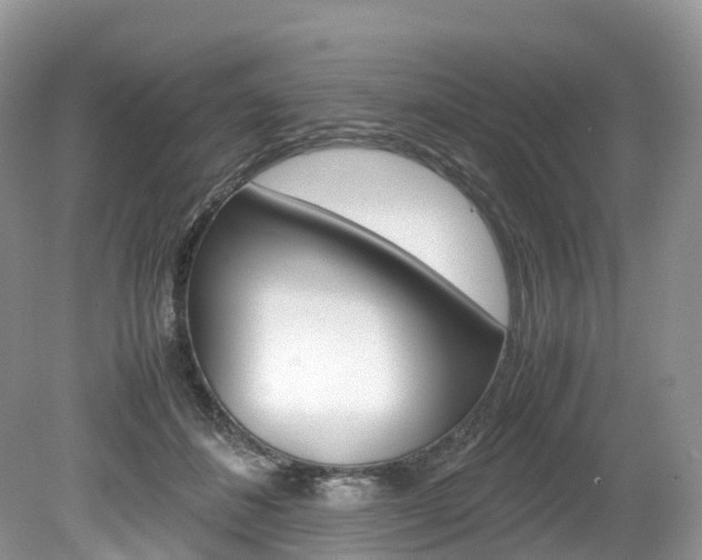 X0000080190508200612081203