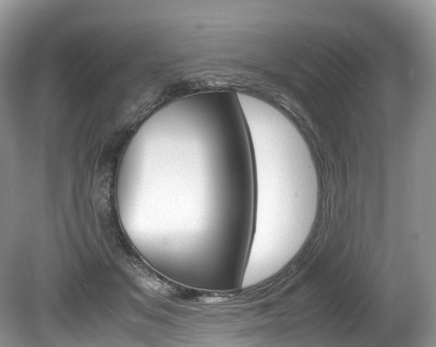 X0000080190509200612081203