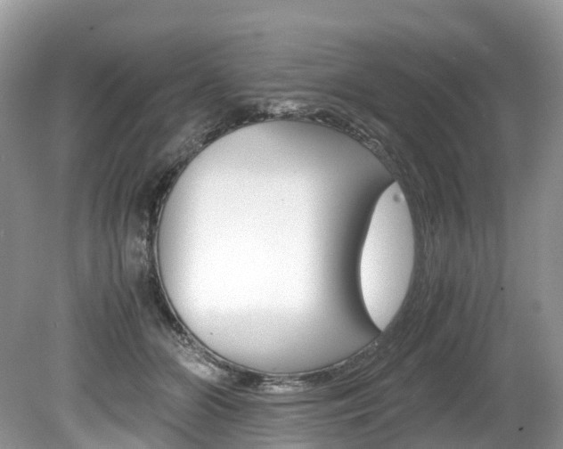 X0000080190510200612081203