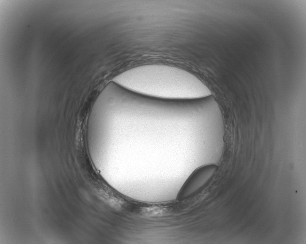 X0000080190511200612081203