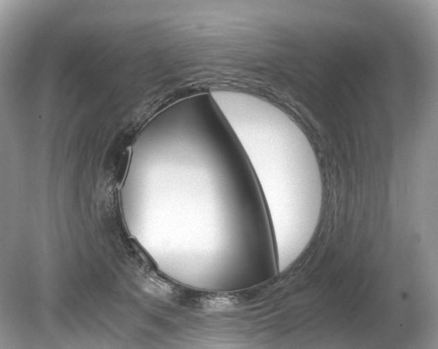 X0000080190513200612081203