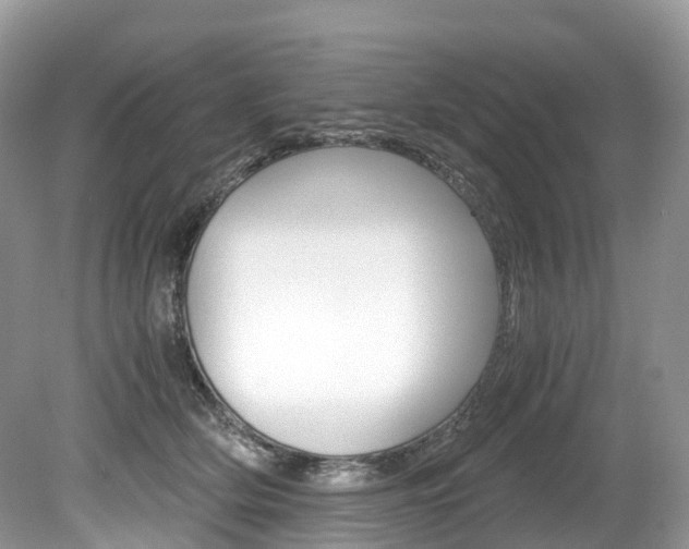 X0000080190514200612081203