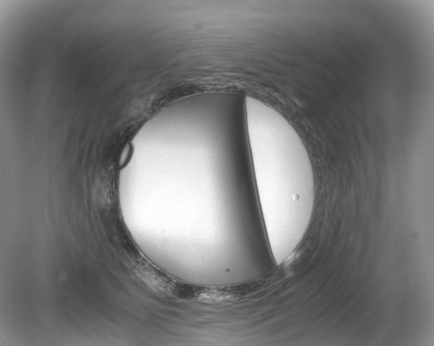 X0000080190515200612081203