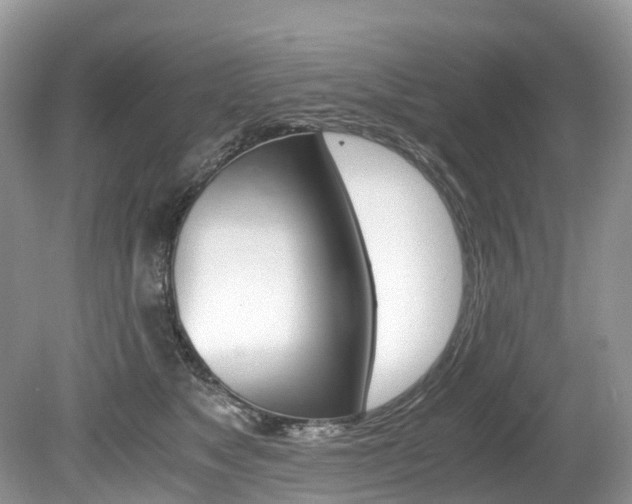 X0000080190517200612081203