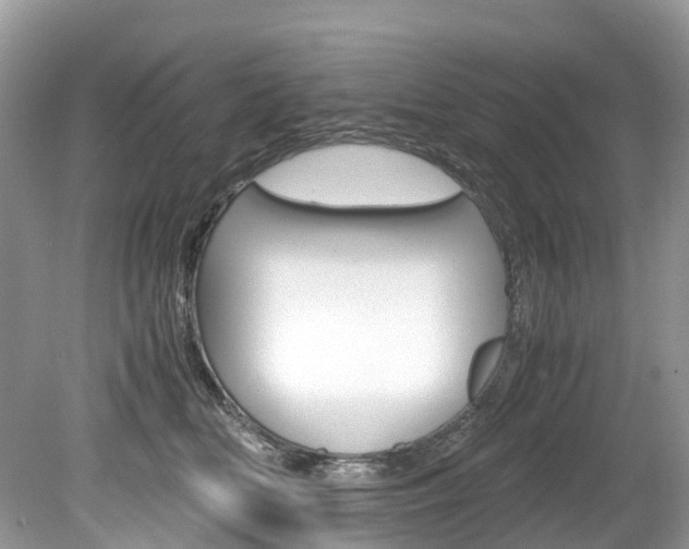 X0000080190518200612081203