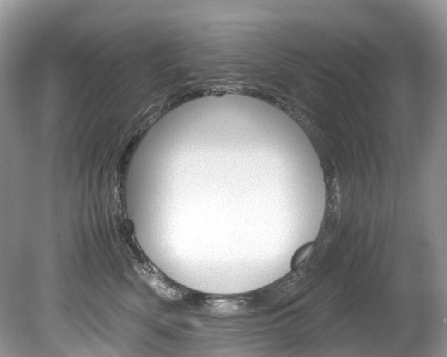 X0000080190522200612081203