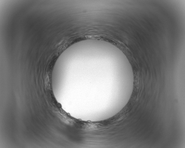 X0000080190523200612081203