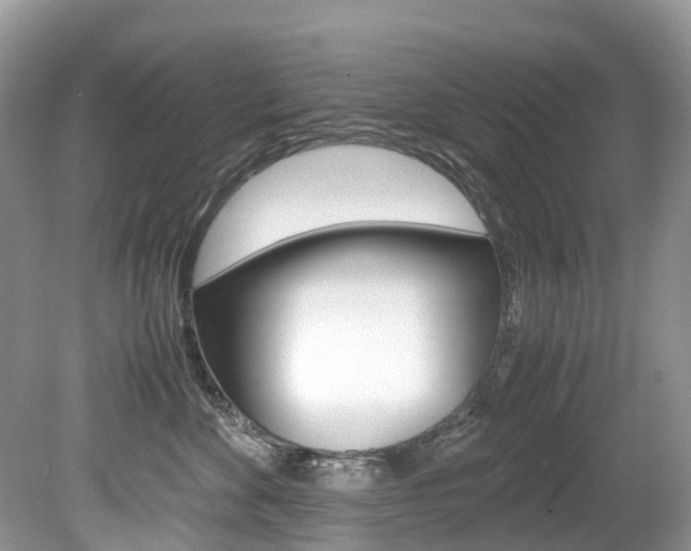 X0000080190524200612081203