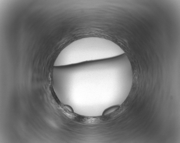 X0000080190527200612081203