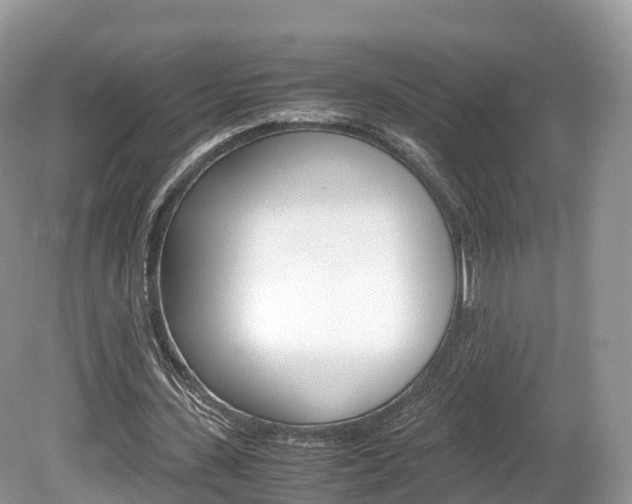X0000080190531200612081202