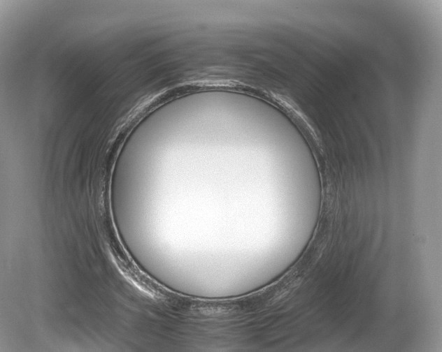 X0000080190533200612081202