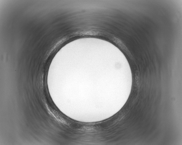 X0000080190534200612081202