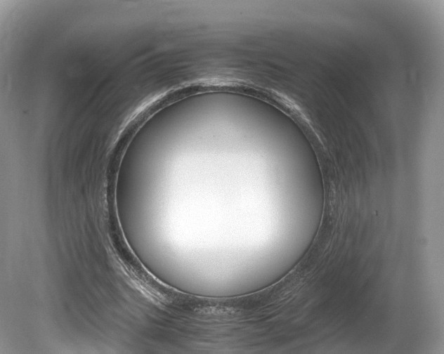X0000080190535200612081202