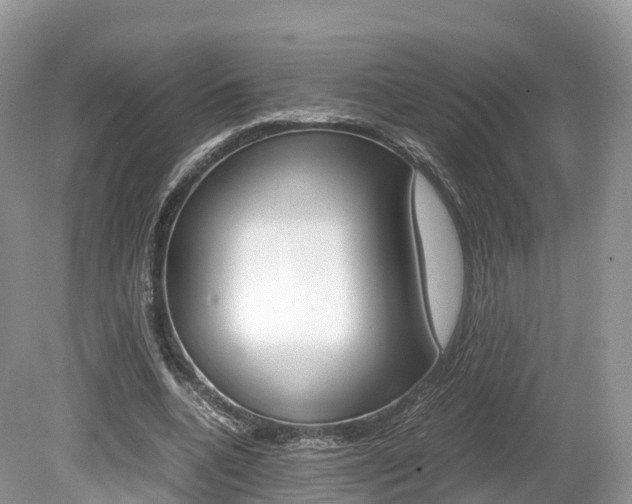 X0000080190536200612081202