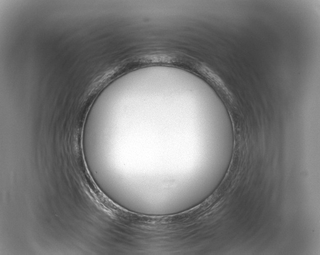 X0000080190537200612081202