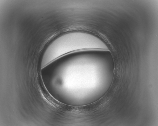 X0000080190538200612081202
