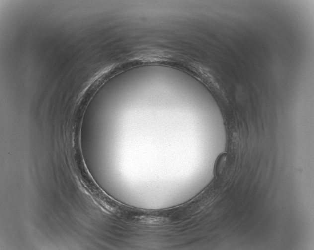 X0000080190539200612081202