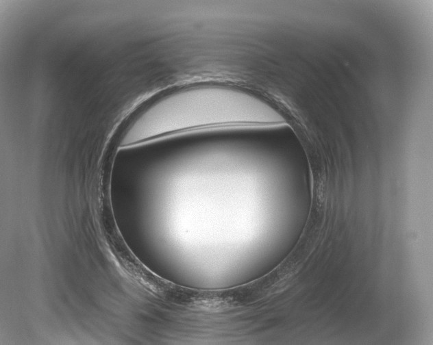 X0000080190540200612081202