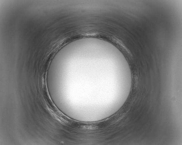X0000080190541200612081202