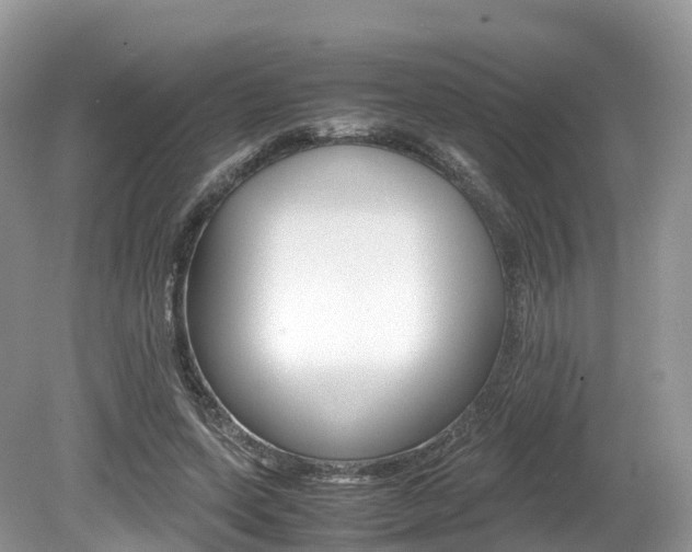 X0000080190543200612081202