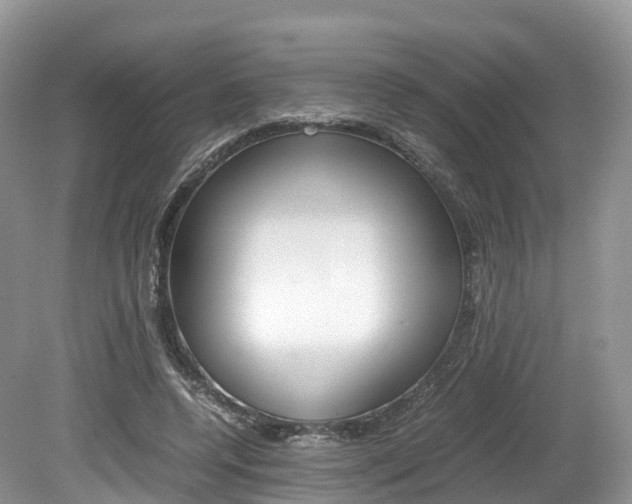 X0000080190544200612081202