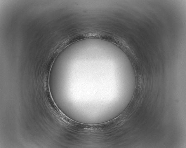 X0000080190545200612081202