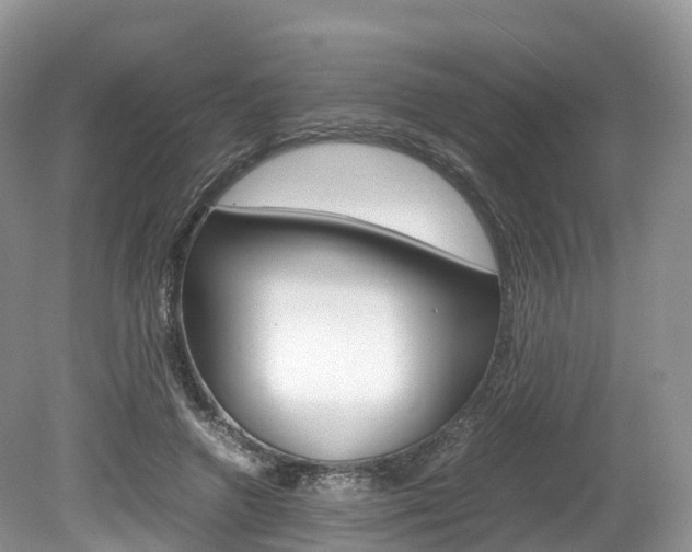 X0000080190546200612081203