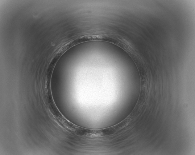 X0000080190548200612081203
