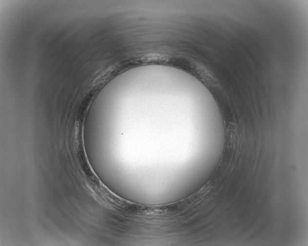 X0000080190550200612081203