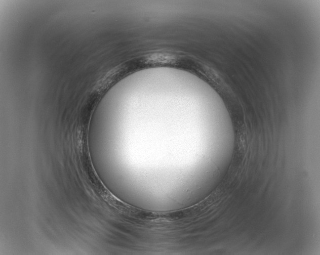 X0000080190551200612081203