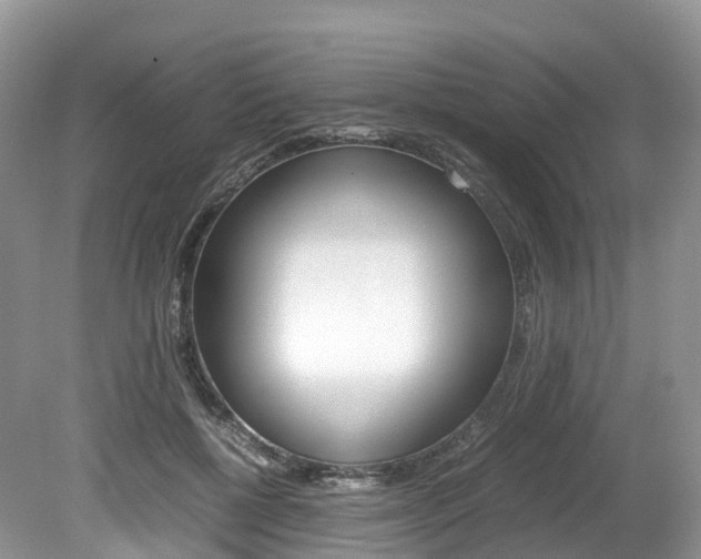 X0000080190552200612081203