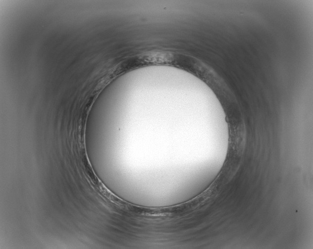 X0000080190553200612081203