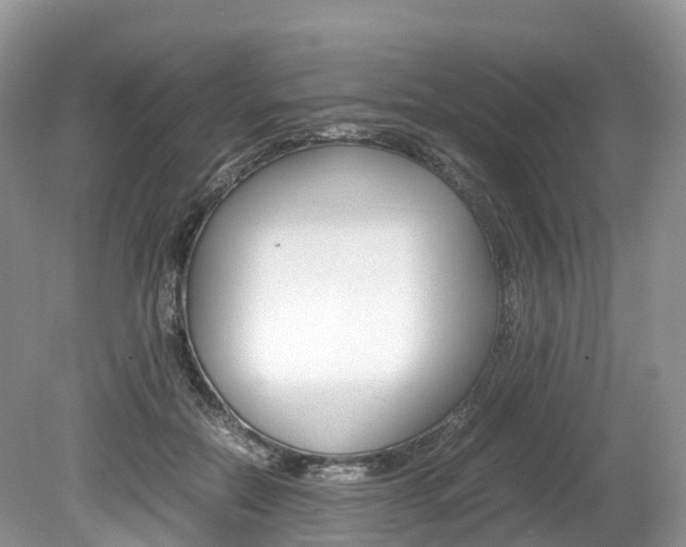 X0000080190554200612081203