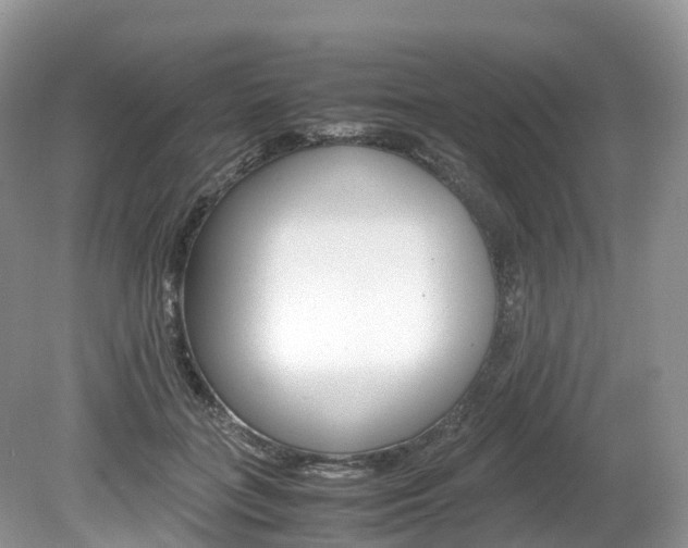 X0000080190555200612081203