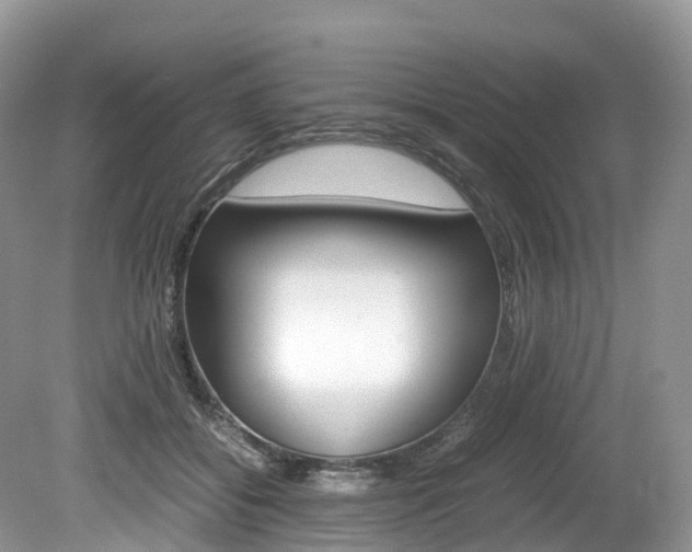 X0000080190556200612081203