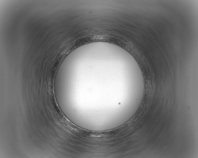 X0000080190557200612081203