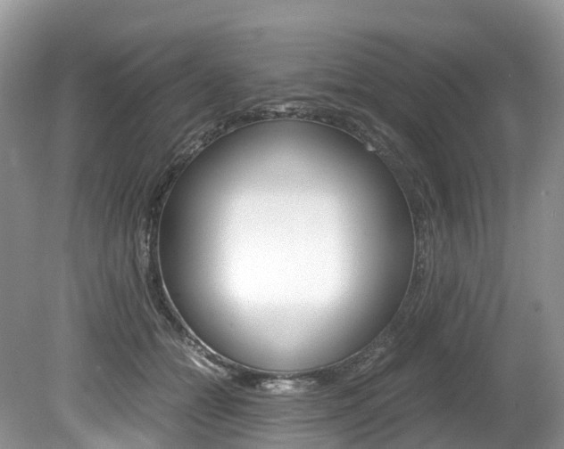 X0000080190558200612081203