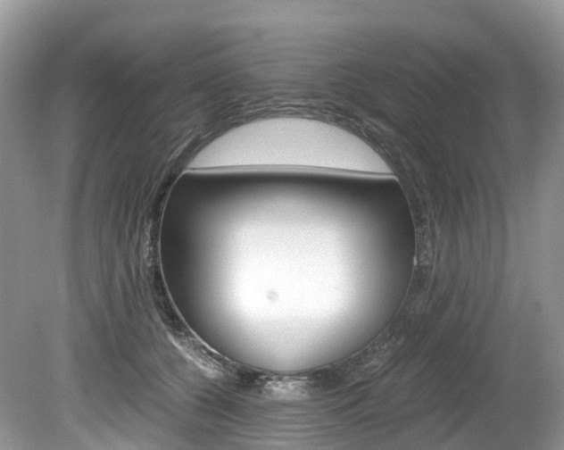 X0000080190560200612081203