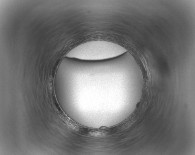 X0000080190561200612081203