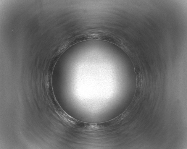 X0000080190562200612081203